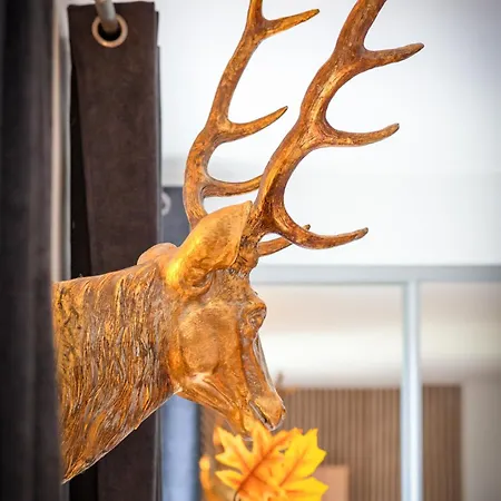 Lägenhet Le Jeanne D'arc, Vue Sur La Place Du Vieux Marche